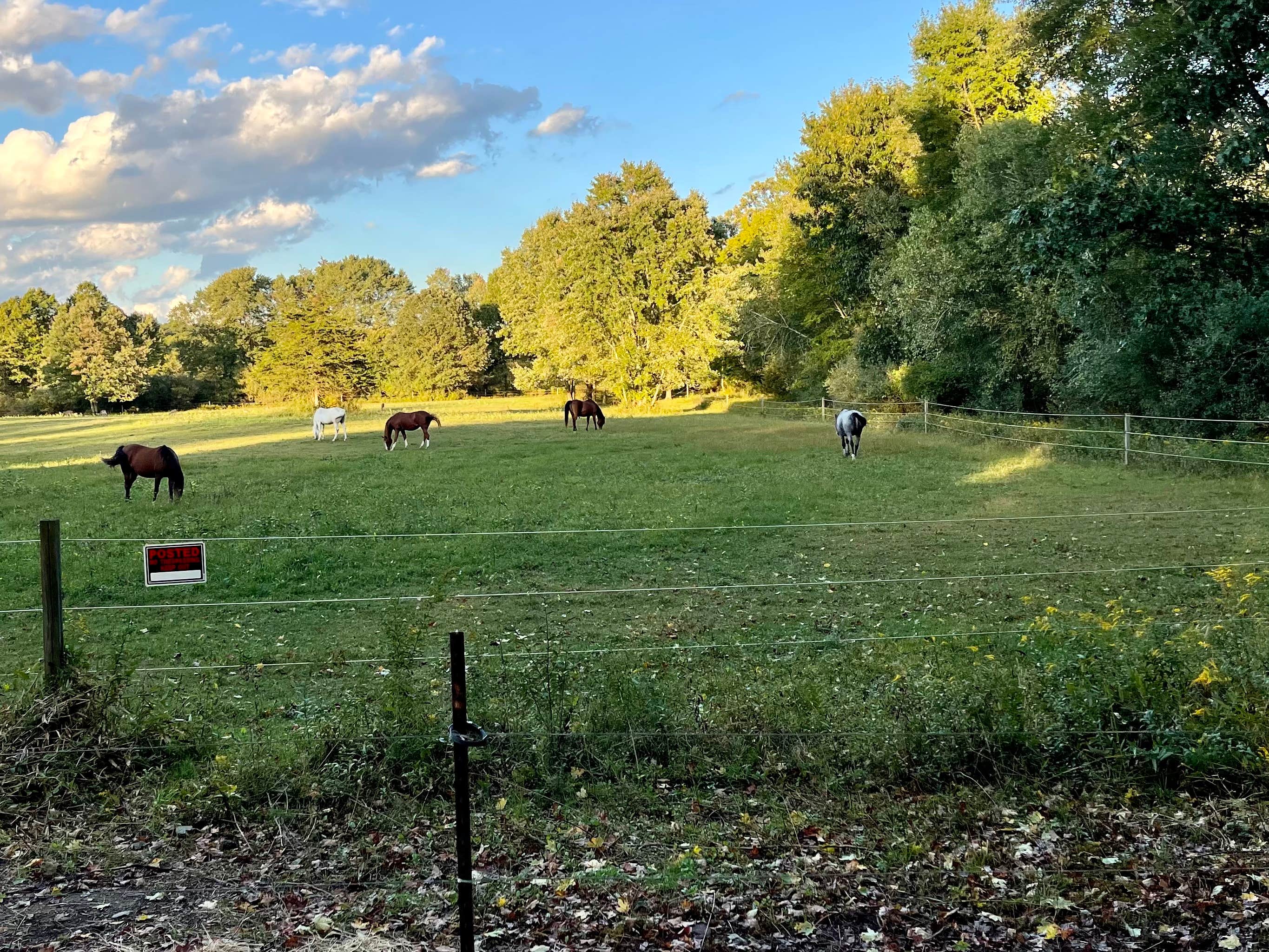 Camper-submitted photo at Delaware Water Gap / Pocono Mountain KOA near Tobyhanna, PA