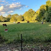 Review photo of Delaware Water Gap / Pocono Mountain KOA by Kelly F., September 28, 2022