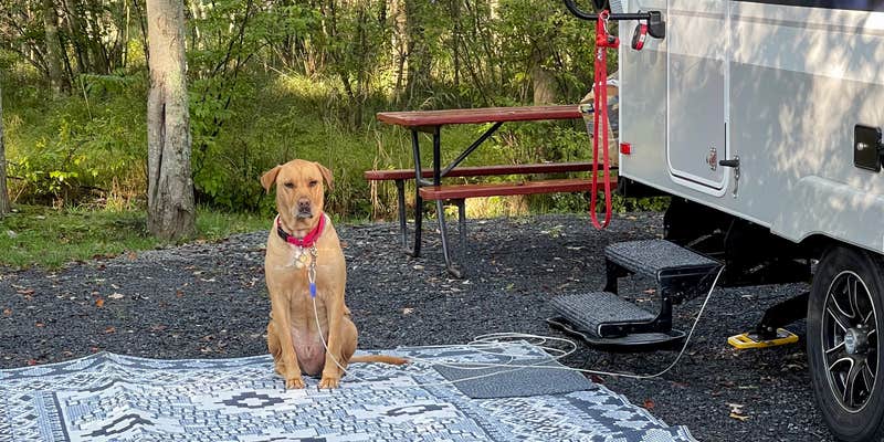 Camper submitted image from Delaware Water Gap / Pocono Mountain KOA