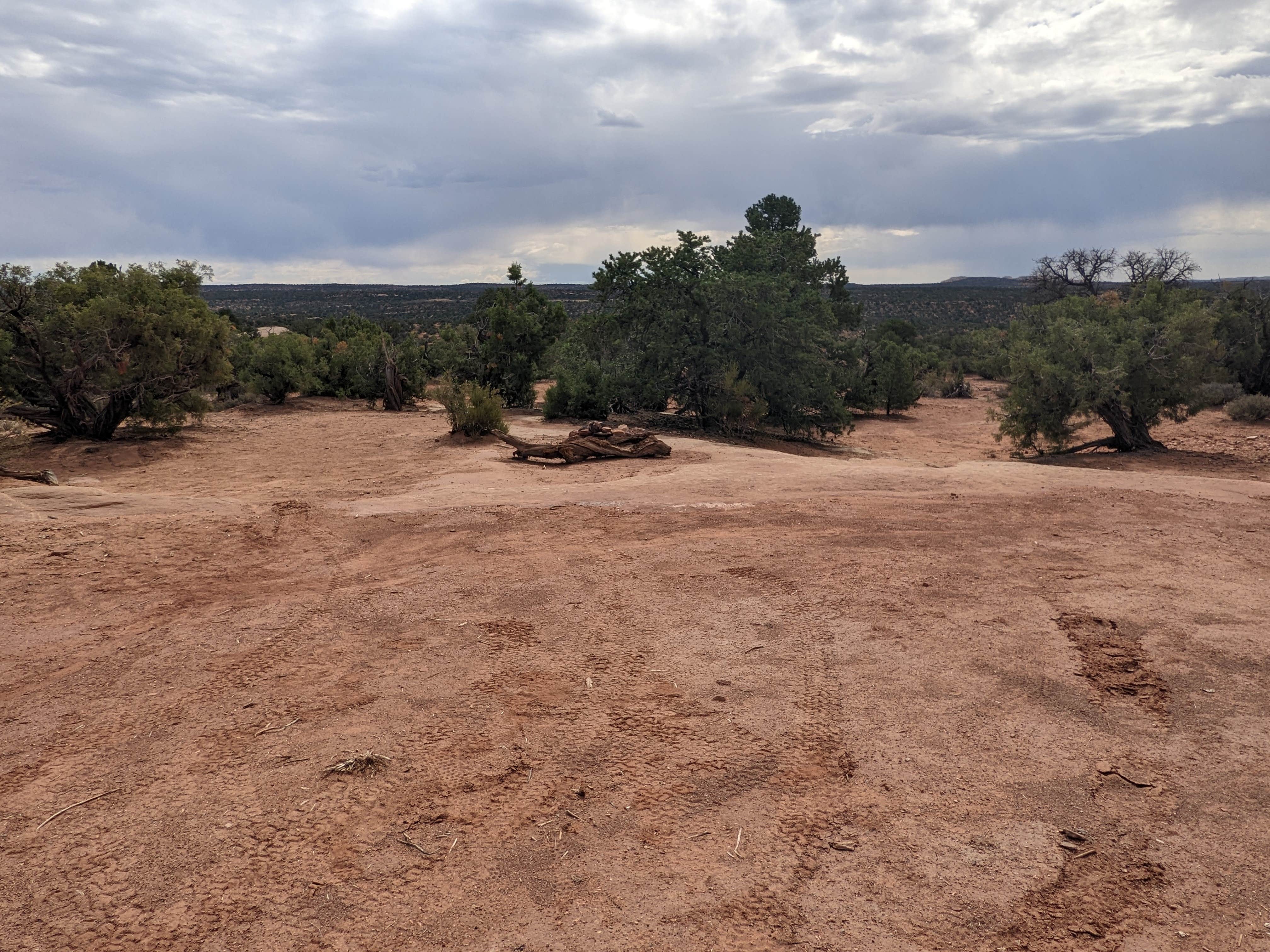 Camper submitted image from BLM Mineral Point Dispersed Camping Area - 1