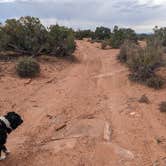 Review photo of BLM Mineral Point Dispersed Camping Area by Greg L., September 28, 2022