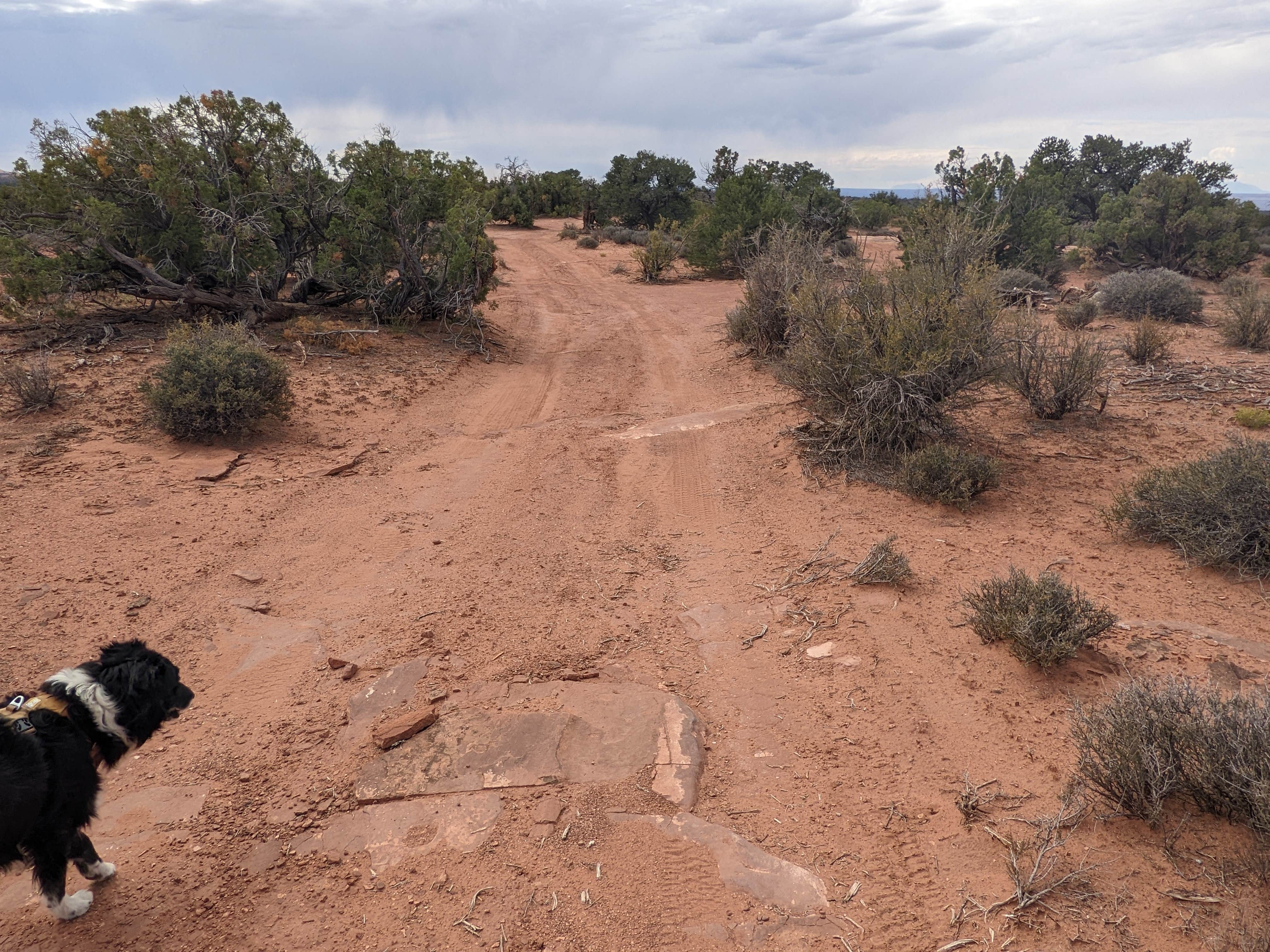 Camper submitted image from BLM Mineral Point Dispersed Camping Area - 4