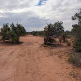 Review photo of BLM Mineral Point Dispersed Camping Area by Greg L., September 28, 2022