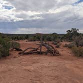 Review photo of BLM Mineral Point Dispersed Camping Area by Greg L., September 28, 2022