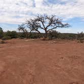 Review photo of BLM Mineral Point Dispersed Camping Area by Greg L., September 28, 2022