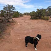 Review photo of BLM Mineral Point Dispersed Camping Area by Greg L., September 28, 2022