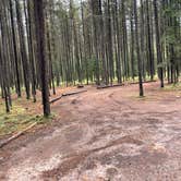 Review photo of Bowman Lake Campground — Glacier National Park by Shana D., September 28, 2022