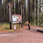Review photo of Bowman Lake Campground — Glacier National Park by Shana D., September 28, 2022