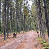 Review photo of Bowman Lake Campground — Glacier National Park by Shana D., September 28, 2022