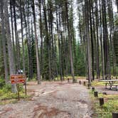 Review photo of Bowman Lake Campground — Glacier National Park by Shana D., September 28, 2022