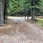 Review photo of Bowman Lake Campground — Glacier National Park by Shana D., September 28, 2022