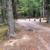Review photo of Bowman Lake Campground — Glacier National Park by Shana D., September 28, 2022