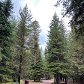 Review photo of Bowman Lake Campground — Glacier National Park by Shana D., September 28, 2022