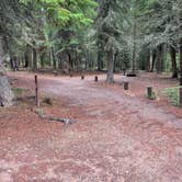 Review photo of Bowman Lake Campground — Glacier National Park by Shana D., September 28, 2022