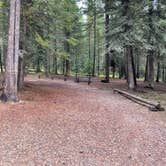 Review photo of Bowman Lake Campground — Glacier National Park by Shana D., September 28, 2022