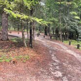 Review photo of Bowman Lake Campground — Glacier National Park by Shana D., September 28, 2022