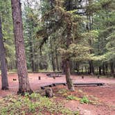 Review photo of Bowman Lake Campground — Glacier National Park by Shana D., September 28, 2022