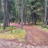 Review photo of Bowman Lake Campground — Glacier National Park by Shana D., September 28, 2022