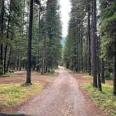 Review photo of Bowman Lake Campground — Glacier National Park by Shana D., September 28, 2022