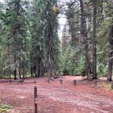 Review photo of Bowman Lake Campground — Glacier National Park by Shana D., September 28, 2022