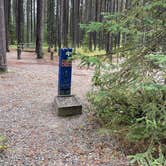 Review photo of Bowman Lake Campground — Glacier National Park by Shana D., September 28, 2022