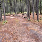 Review photo of Bowman Lake Campground — Glacier National Park by Shana D., September 28, 2022