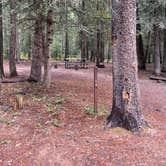 Review photo of Bowman Lake Campground — Glacier National Park by Shana D., September 28, 2022