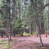 Review photo of Bowman Lake Campground — Glacier National Park by Shana D., September 28, 2022