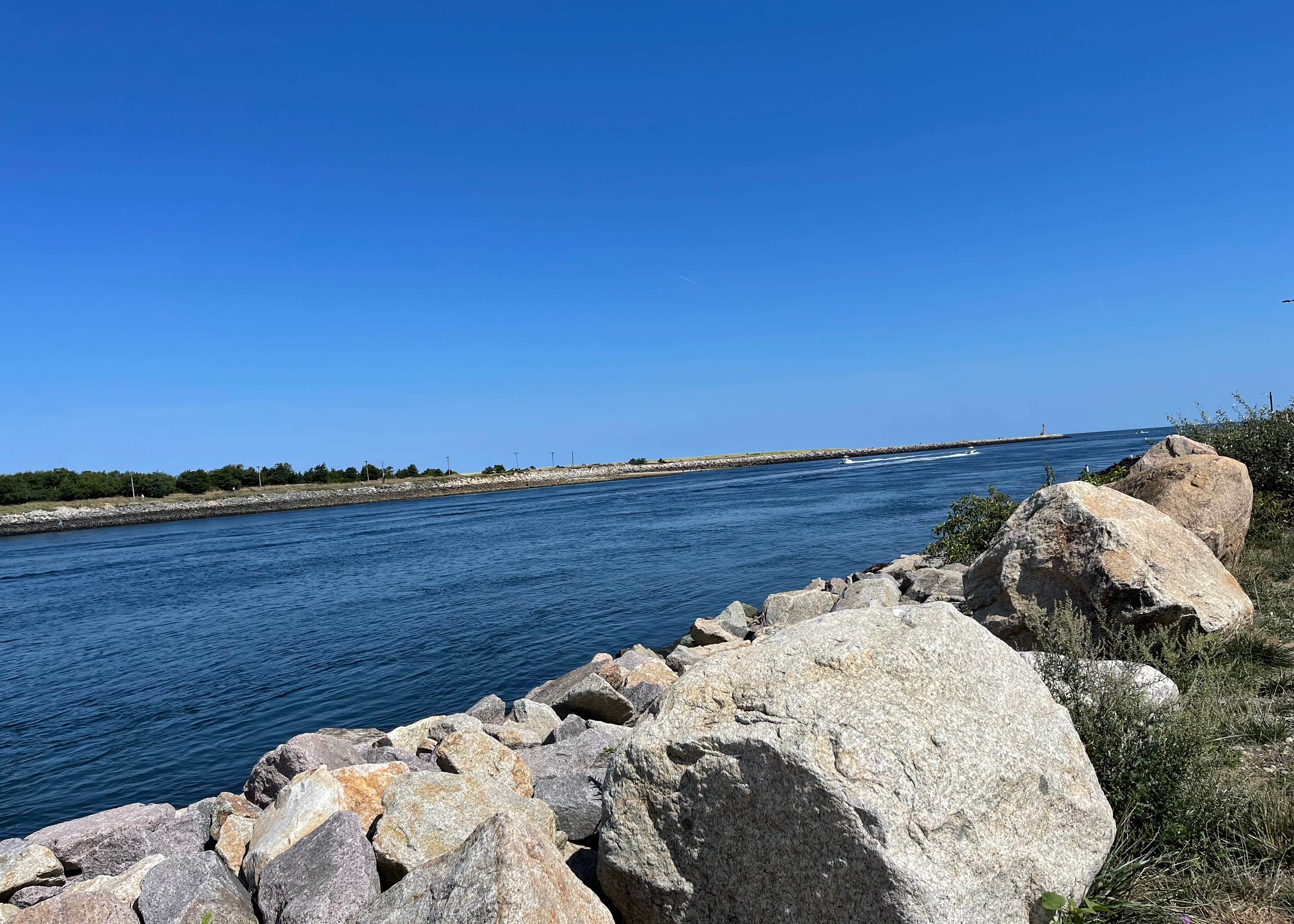 Area 2 Shawme Crowell State Forest Camping The Dyrt