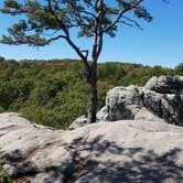 Review photo of Hawn State Park Campground by Shawn M., September 3, 2018