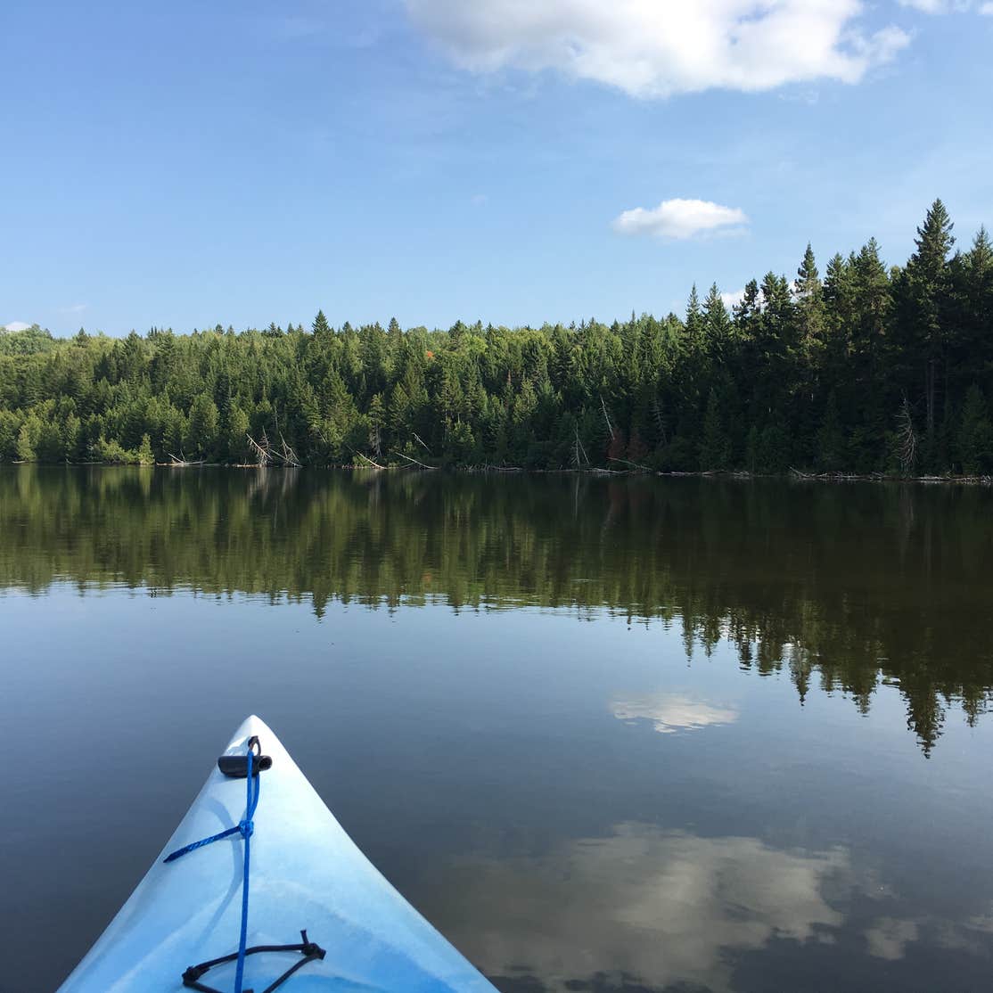 Deboullie Public Lands Camping Eagle Lake, ME
