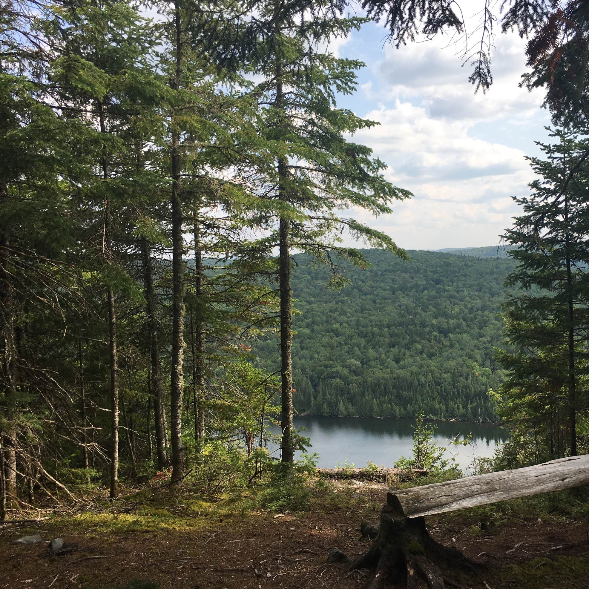 Deboullie Public Lands Camping The Dyrt