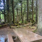 Review photo of Kalaloch Campground - group — Olympic National Park by Riley N., September 28, 2022