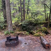 Review photo of Kalaloch Campground - group — Olympic National Park by Riley N., September 28, 2022