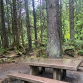Review photo of Kalaloch Campground - group — Olympic National Park by Riley N., September 28, 2022