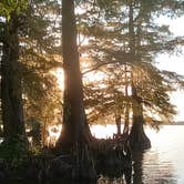 Review photo of Reelfoot Lake State Park Campgrounds by Paul B., September 28, 2022