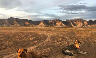 Caleb L.'s photo of camping with pets at Grand Junction Desert Road Recreation Area BLM near Glade Park, CO