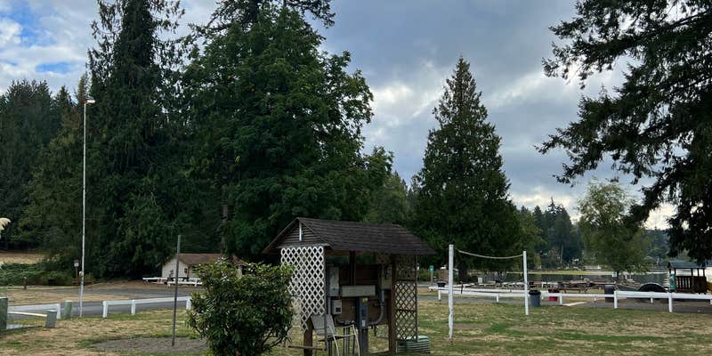 Camper submitted image from Camp Lakeview