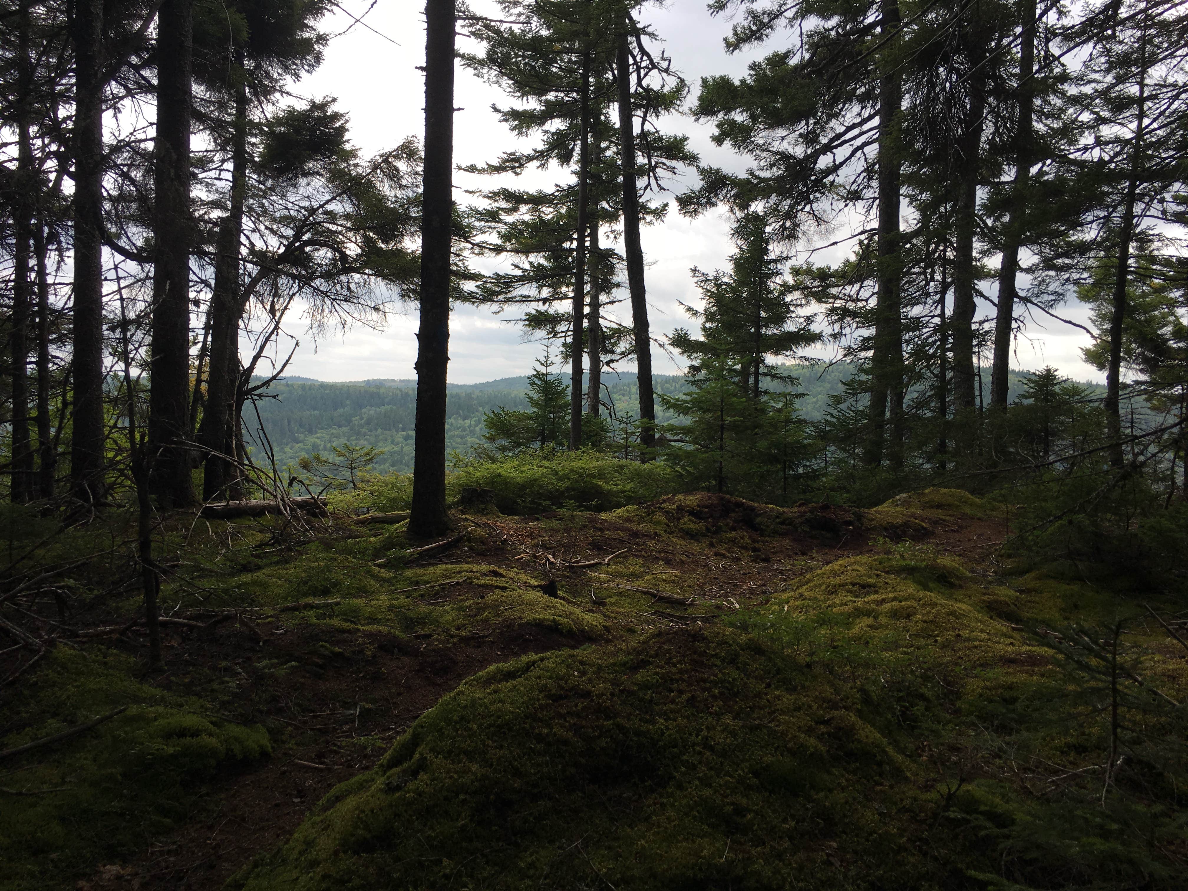 Camper-submitted photo at Deboullie Public Lands near Mapleton, ME