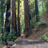 Review photo of Pfeiffer Big Sur State Park Campground by Enrick B., September 29, 2022