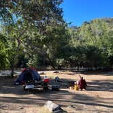 Review photo of Pfeiffer Big Sur State Park Campground by Enrick B., September 29, 2022