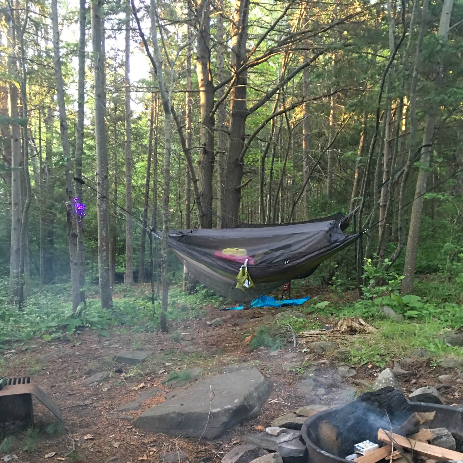 Hancock Recreation Area Beach & Campground Camping The Dyrt