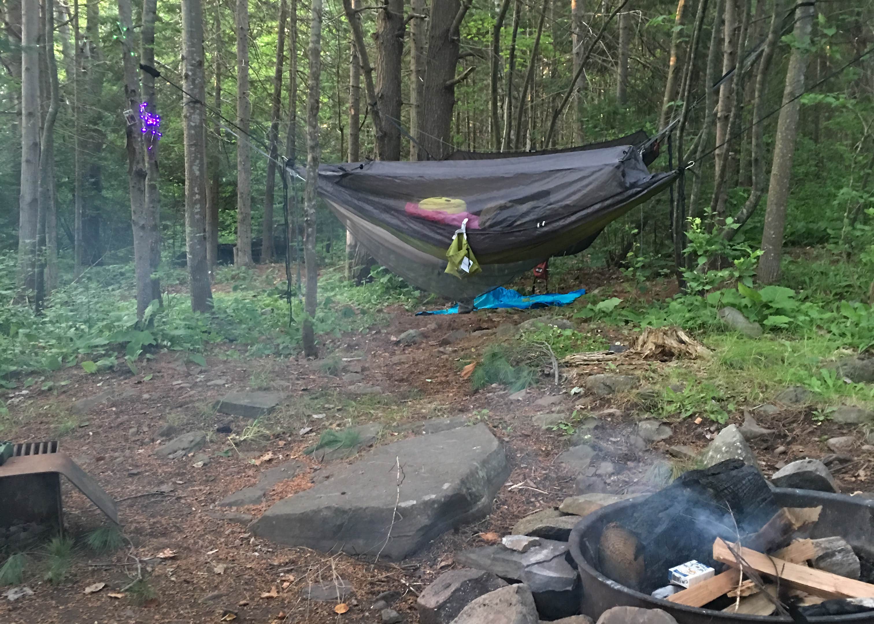 Hancock Recreation Area Beach & Campground Camping The Dyrt