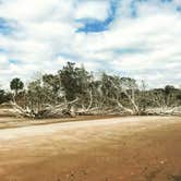 Review photo of Little Talbot Island State Park Campground by Kandi G., September 3, 2018