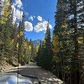 Review photo of Stevens Gulch Road Primitive by Ally H., September 29, 2022