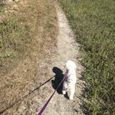 Review photo of Little Talbot Island State Park Campground by Kandi G., September 3, 2018