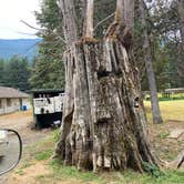 Review photo of Cascade Peaks Family Camping by Amy & Stu B., September 29, 2022