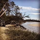 Review photo of Little Talbot Island State Park Campground by Kandi G., September 3, 2018