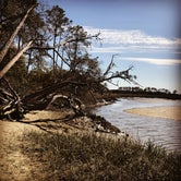 Review photo of Little Talbot Island State Park Campground by Kandi G., September 3, 2018