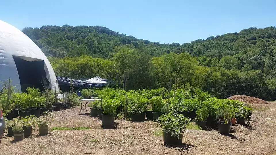 Camping near Bells Bend Park: Hundred Acre Woods, Nashville, Tennessee